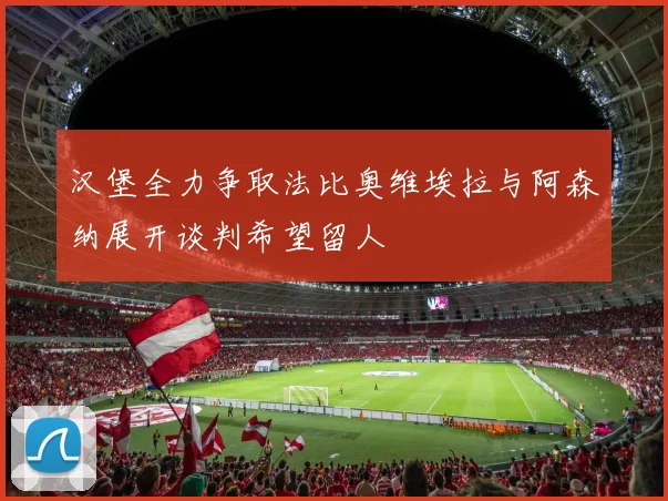 汉堡全力争取法比奥维埃拉与阿森纳展开谈判希望留人
