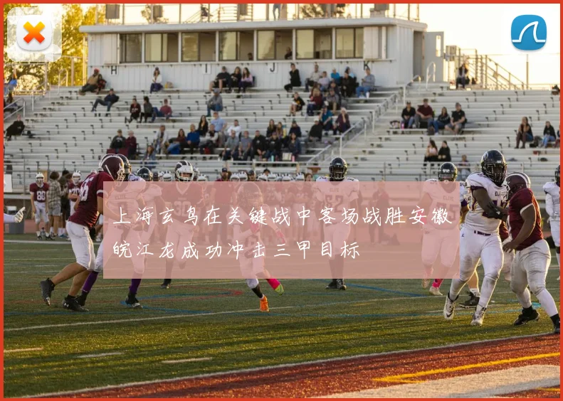 上海玄鸟在关键战中客场战胜安徽皖江龙成功冲击三甲目标