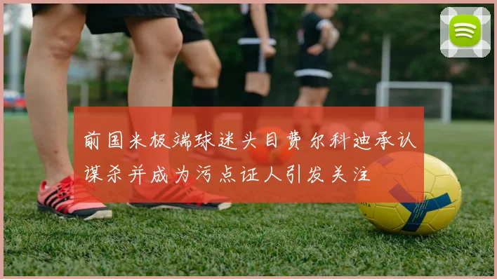 前国米极端球迷头目费尔科迪承认谋杀并成为污点证人引发关注